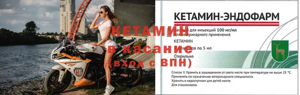 гидра Няндома