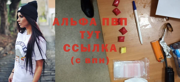 гидра Няндома