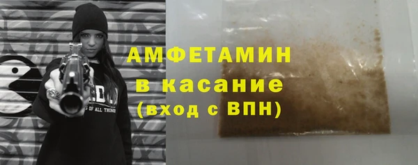 гидра Няндома
