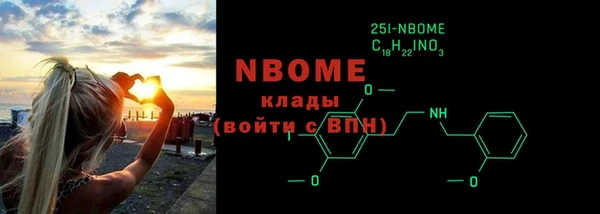 гидра Няндома