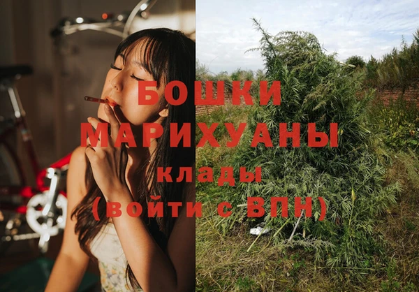 гидра Няндома