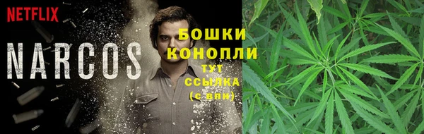 гидра Няндома
